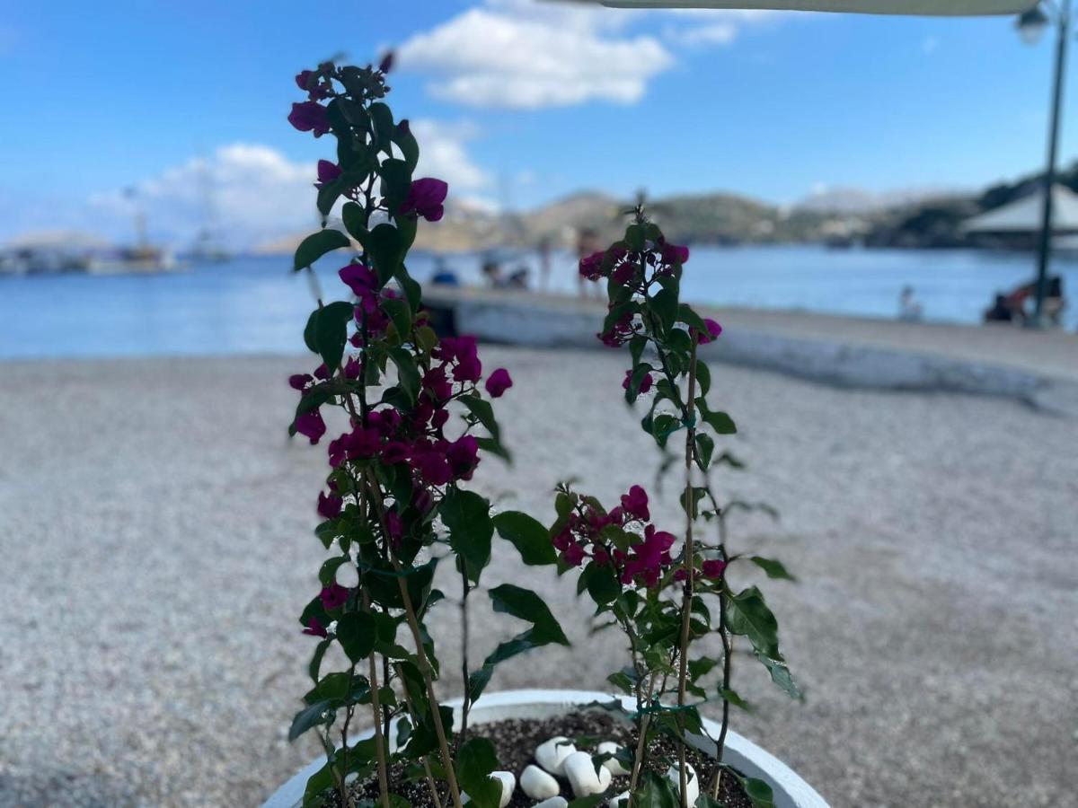 דירות Panteli Ονειρόπετρα Λέρος~Oneiropetra Leros מראה חיצוני תמונה